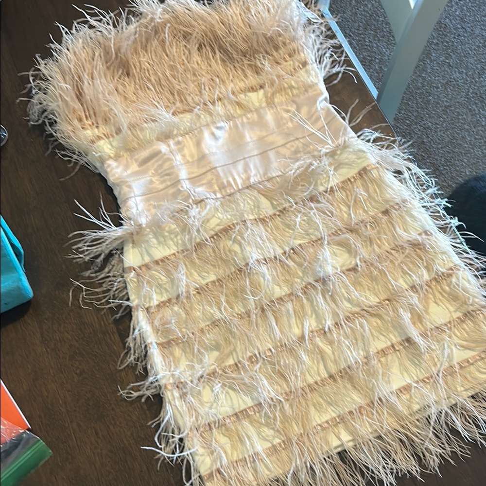 Feathered Strapless Dress